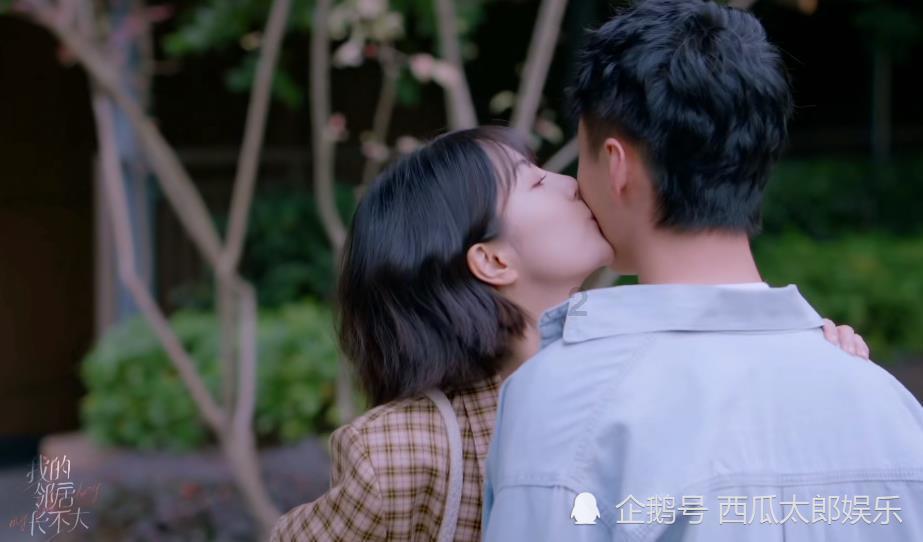 营救小猫头鹰
